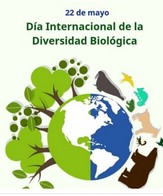Diversidad Biológica 3